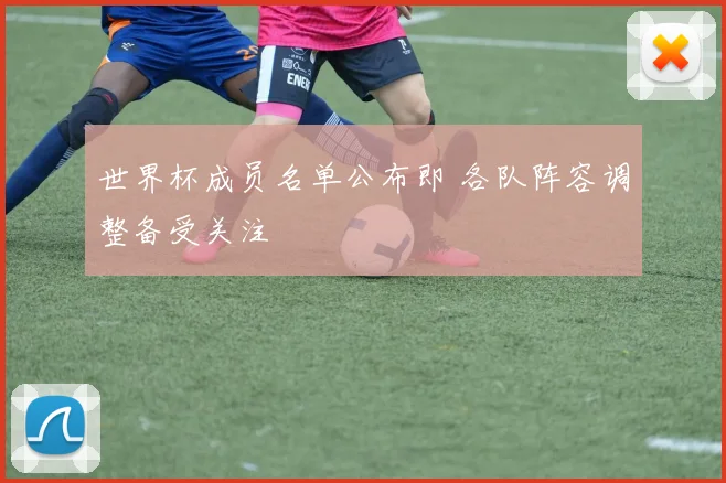世界杯成员名单公布即 各队阵容调整备受关注