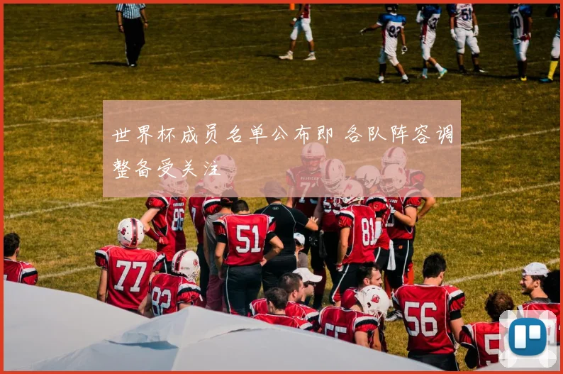 世界杯成员名单公布即 各队阵容调整备受关注