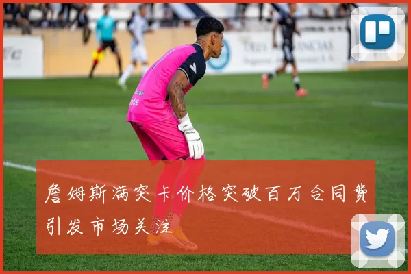 詹姆斯满突卡价格突破百万合同费引发市场关注