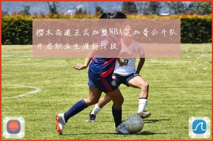 樱木花道正式加盟NBA芝加哥公牛队开启职业生涯新阶段