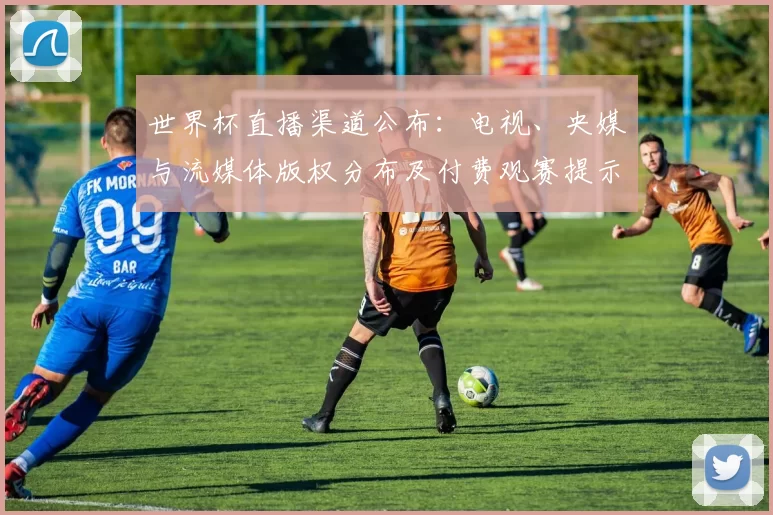 世界杯直播渠道公布：电视、央媒与流媒体版权分布及付费观赛提示