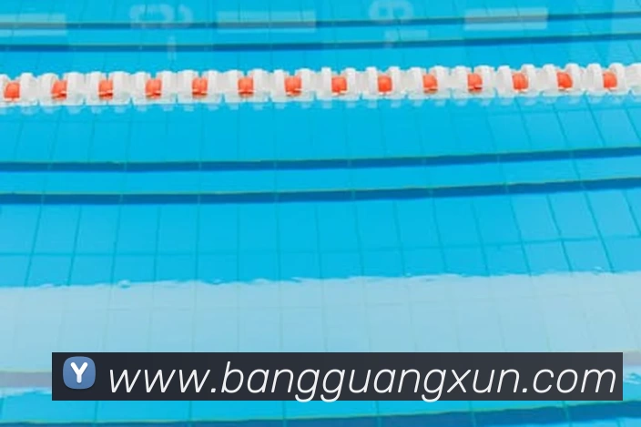 熊猫体育(官方网站) - 熊猫助力体育创新科技APP 封面图